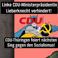 LINKE_cdu.png
