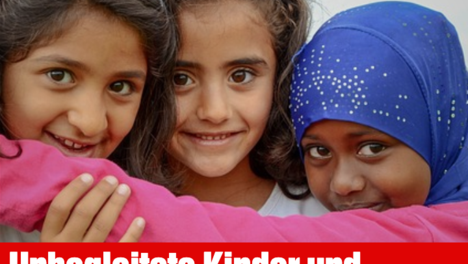 flu__chtlinge.png